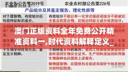 澳门正版资料全年免费公开精准资料一,时代资料解释定义_XR18.944