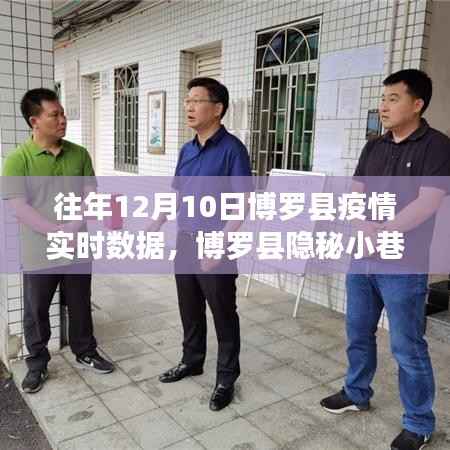 博罗县隐秘小巷中的抗疫故事与风味小店，疫情实时数据与独特体验之旅