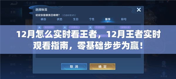 零基础12月王者实时观看指南,步步为赢,轻松掌握实时观战技巧