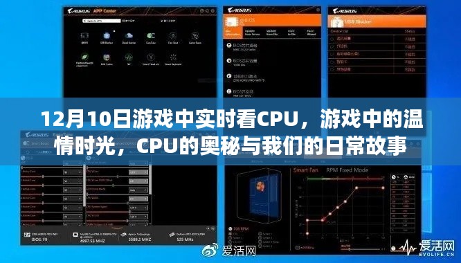 游戏中的温情时光，探索CPU奥秘与日常故事，实时观察记录于12月10日