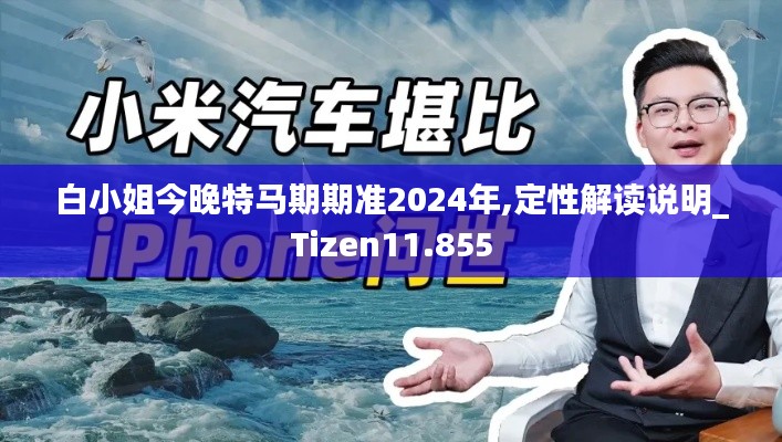 白小姐今晚特马期期准2024年,定性解读说明_Tizen11.855