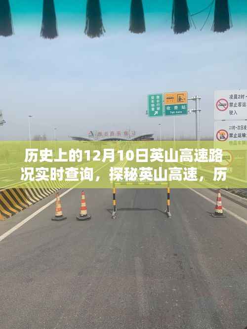 遍地开花 第6页