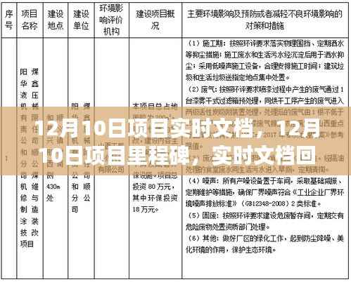 12月10日项目里程碑回顾与展望，实时文档中的成就与未来展望