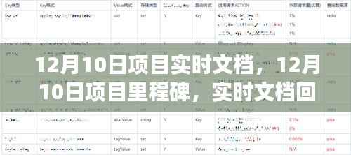 12月10日项目里程碑回顾与展望,实时文档中的成就与未来展望