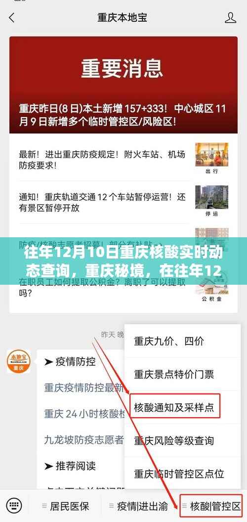 重庆秘境，历年12月10日核酸实时动态与自然奇遇查询