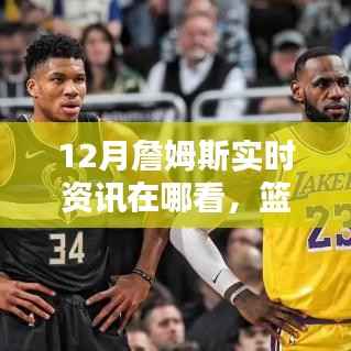 掌握最新动态!詹姆斯实时资讯获取指南,篮球迷必看的1月资讯汇总