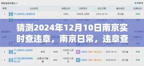南京日常,违章查询背后的温情故事与实时查违章展望(2024年12月10日)