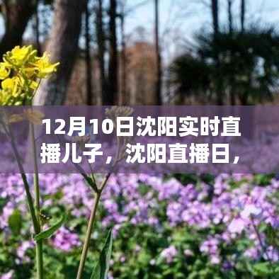 沈阳直播日，与孩子共赴自然美景，寻找内心的宁静之乐（12月10日沈阳实时直播活动）