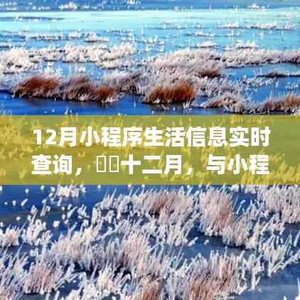 十二月小程序生活信息实时查询，开启心灵之旅的实时美景探索之旅