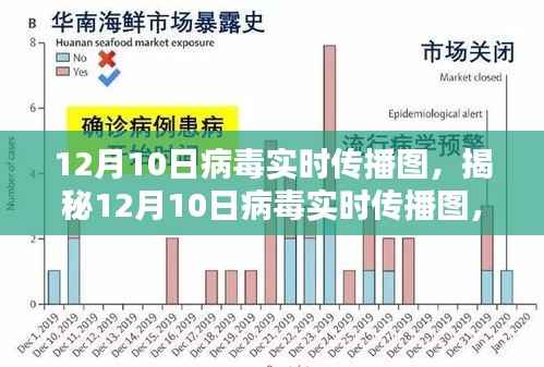 揭秘病毒实时传播图，全面指南助你洞悉病毒动态（12月10日版）