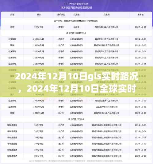 2024年12月10日全球实时路况概览，聚焦GLS系统