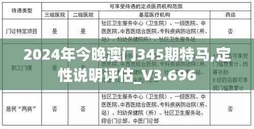 2024年今晚澳门345期特马,定性说明评估_V3.696