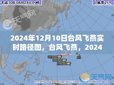 台风飞燕深度测评与实时路径图介绍,2024年12月10日最新动态