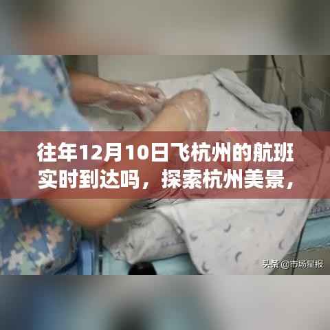 探索杭州美景,航班实时到达与心灵平静之旅的交织
