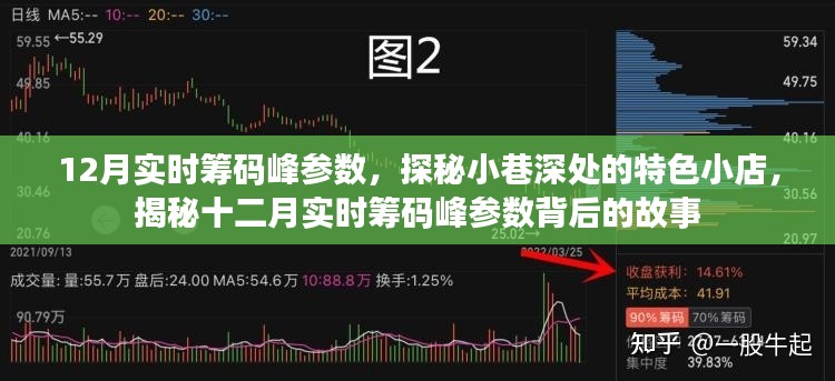 揭秘十二月实时筹码峰参数背后的故事,小巷特色小店的探秘之旅