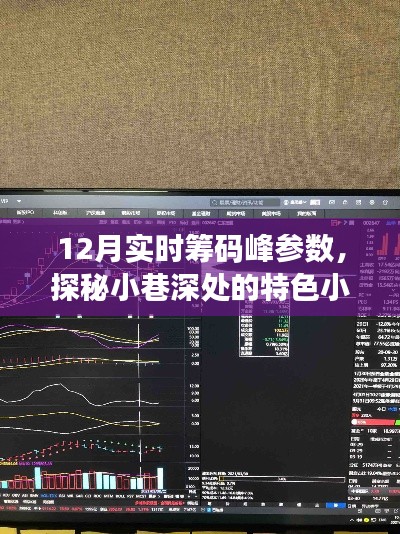 揭秘十二月实时筹码峰参数背后的故事,小巷特色小店的探秘之旅