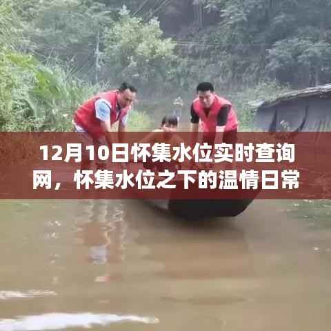 怀集水位之下的温情与奇妙旅程,实时查询网全解析