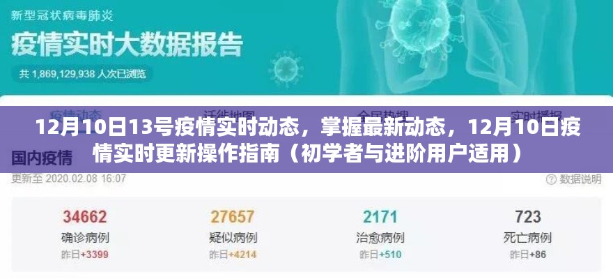 12月10日疫情实时动态更新，最新操作指南，适用于初学者与进阶用户