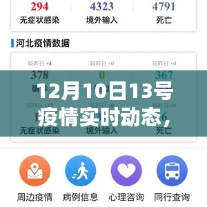 12月10日疫情实时动态更新,最新操作指南,适用于初学者与进阶用户