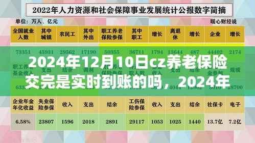 关于养老保险缴纳实时到账情况解析，聚焦2024年12月10日cz养老保险到账时间