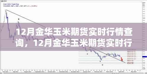 12月金华玉米期货实时行情查询攻略，入门到精通全解析