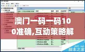澳门一码一码100准确,互动策略解析_Windows19.713