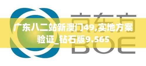 广东八二站新澳门49,实地方案验证_钻石版9.565