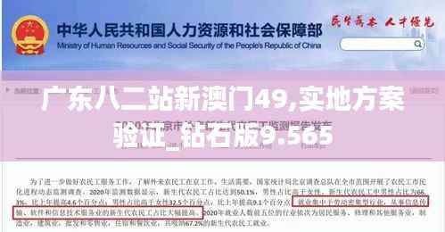 广东八二站新澳门49,实地方案验证_钻石版9.565