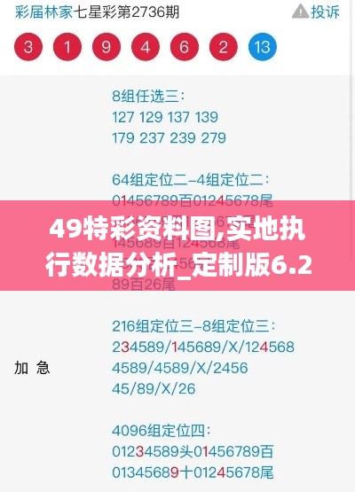 49特彩资料图,实地执行数据分析_定制版6.243
