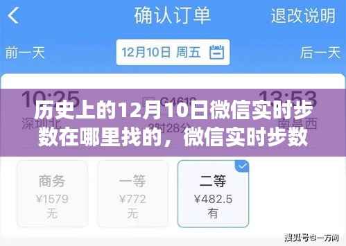 微信实时步数功能深度解析，历史上的12月10日步数记录探索与实时步数查询指南