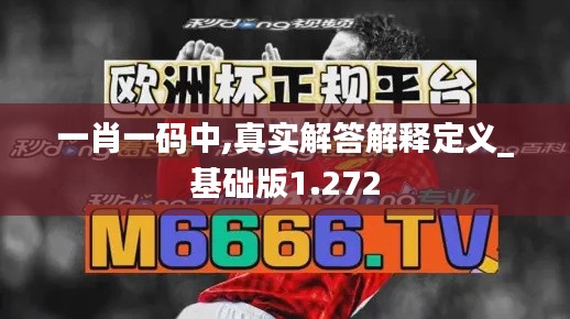 一肖一码中,真实解答解释定义_基础版1.272