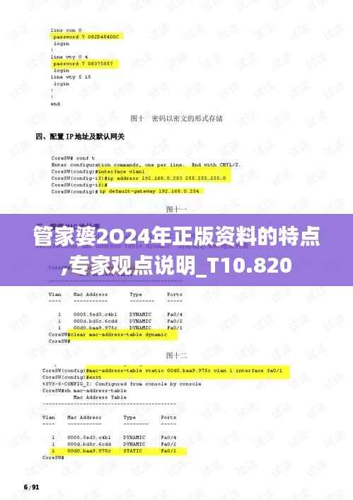 管家婆2O24年正版资料的特点,专家观点说明_T10.820
