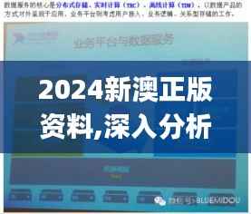 2024新澳正版资料,深入分析数据应用_Windows6.796