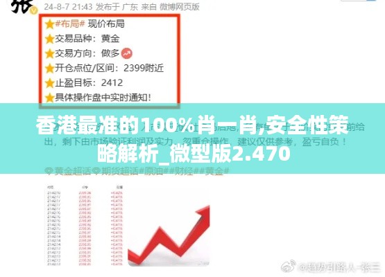 香港最准的100%肖一肖,安全性策略解析_微型版2.470