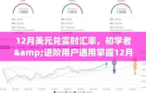 掌握最新美元汇率,初学者与进阶用户指南助你轻松掌握十二月实时汇率动态