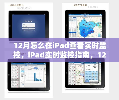 iPad实时监控指南,掌握查看技巧,轻松监控iPad实时动态(12月版)