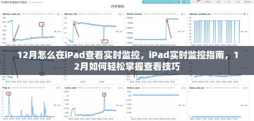 iPad实时监控指南,掌握查看技巧,轻松监控iPad实时动态(12月版)