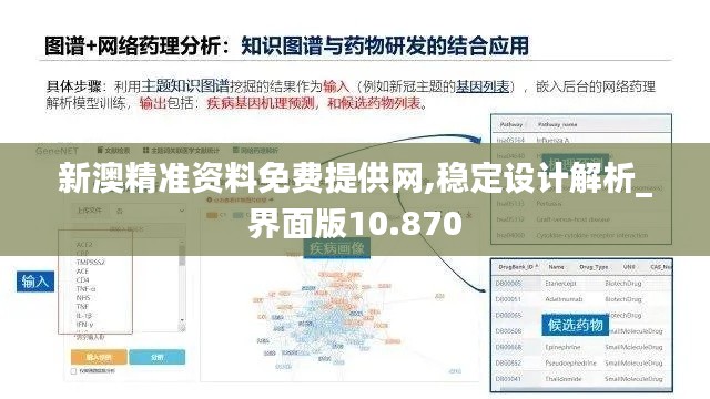 新澳精准资料免费提供网,稳定设计解析_界面版10.870