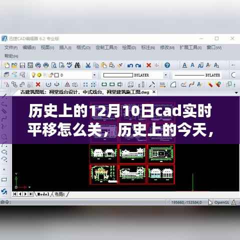 历史上的CAD实时平移技巧揭秘,自信走向设计师之路的秘诀!
