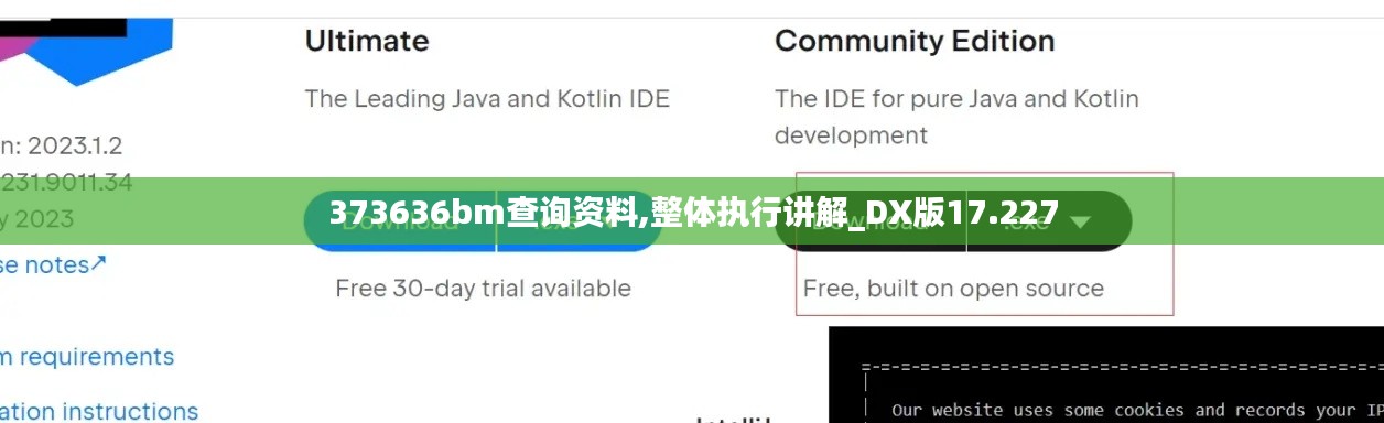 373636bm查询资料,整体执行讲解_DX版17.227