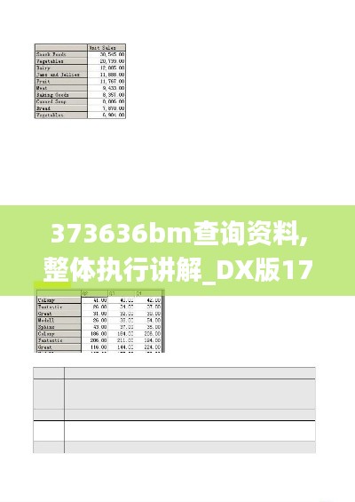 373636bm查询资料,整体执行讲解_DX版17.227