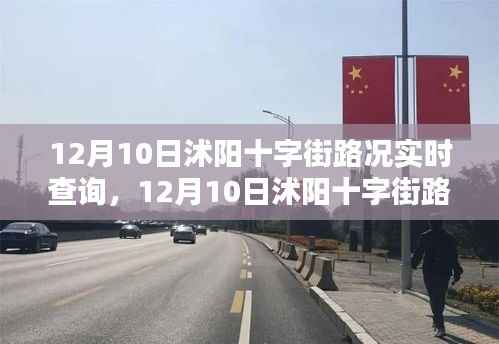 12月10日沭阳十字街路况实时查询系统详解与评测