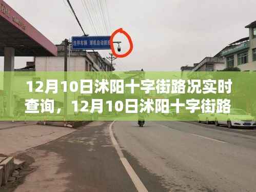 12月10日沭阳十字街路况实时查询系统详解与评测