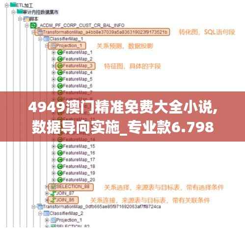 4949澳门精准免费大全小说,数据导向实施_专业款6.798