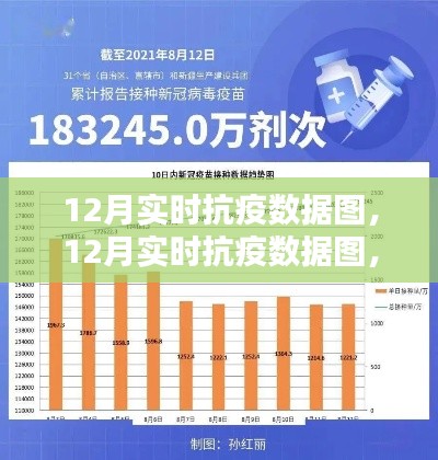 12月实时抗疫数据图全面解读与产品深度评测介绍