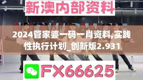 2024管家婆一码一肖资料,实践性执行计划_创新版2.931