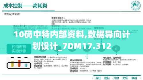 10码中特内部资料,数据导向计划设计_7DM17.312