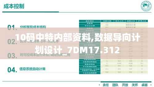 10码中特内部资料,数据导向计划设计_7DM17.312