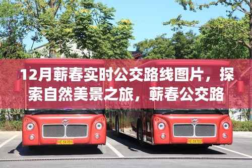蕲春公交路线带你领略十二月独特风光,自然美景之旅启程