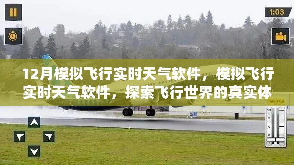 探索真实飞行世界,实时天气模拟飞行软件体验